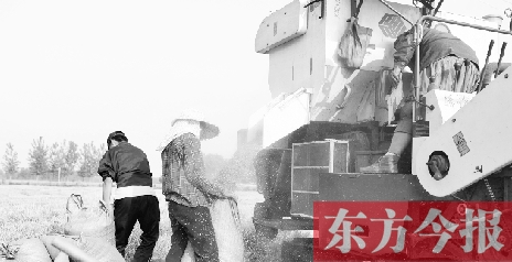 李正厚的妻子鮑本華（右）和一位村民拎著麻袋來到收割機(jī)前，接住傾倒出來的麥粒