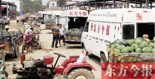 昨日，東方今報與河南福壽園聯(lián)合購瓜，只有更多的市民和企業(yè)加入購瓜行動，瓜農(nóng)們才能早日回家