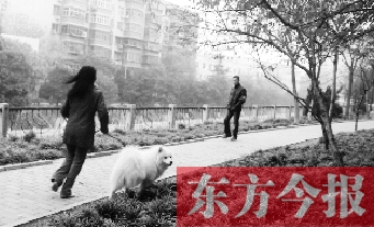12月3日，鄭州市南關(guān)街熊兒河旁，一名遛狗的女子見到執(zhí)法人員檢查，迅速跑開