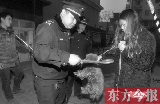 12月3日早上6點(diǎn)半，鄭州市南關(guān)街熊兒河旁，南關(guān)街辦事處的執(zhí)法人員對狗進(jìn)行排查