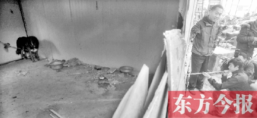 12月4日，鄭州市未來(lái)路與隴海路交叉口西側(cè)，執(zhí)法人員用吹管麻醉針對(duì)付一只藏獒