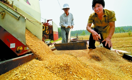 6月3日， 濮陽開發(fā)區(qū)胡村鄉(xiāng)后范莊村的續(xù)秀萍看著新打的粒大飽滿的小麥喜上眉梢。