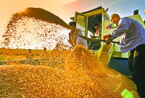 根據(jù)國(guó)家統(tǒng)計(jì)局核定結(jié)果，我省2012年糧食總產(chǎn)量達(dá)到1127.72億斤，成為第9個(gè)連續(xù)增產(chǎn)年份。