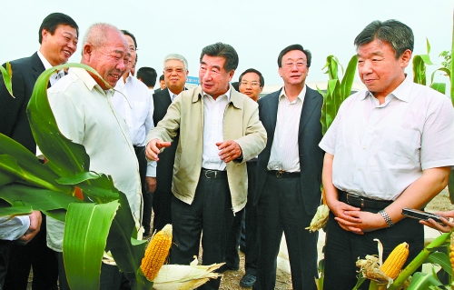 圖為回良玉在鄧州市腰店鄉(xiāng)草寺村視察萬畝玉米高產示范方。