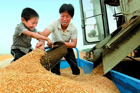 5月27日，確山縣劉店鎮(zhèn)前槽村郭景蓮和小孫子一起收獲小麥，豐收的喜悅寫在了臉上。