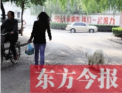 啟明一巷內(nèi)，一名女子帶著狗狗去買菜。狗隨地大小便，狗的主人未制止