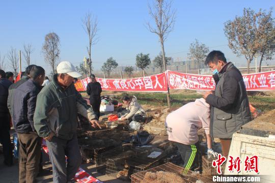 圖為百余名愛狗人士把老李的貨車攔截，數(shù)十人正在從貨車上卸下裝滿狗的鐵籠。　馬義恒　攝