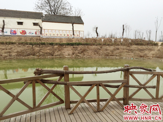 護(hù)欄損毀的地方，已經(jīng)被兩根樹(shù)干擋住。