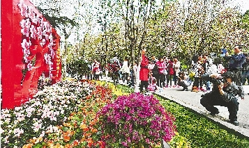 市民紛紛將鏡頭對準(zhǔn)花叢。