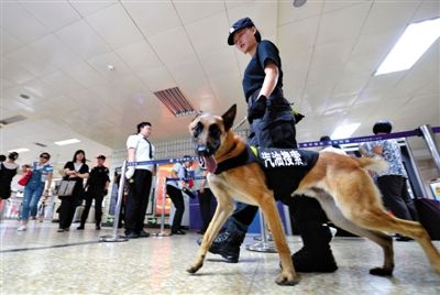 地鐵王府井站搜汽油警犬在安檢口巡邏。新京報記者 王貴彬 攝