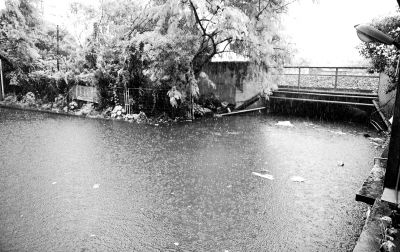 白云區(qū)棠樂路通往石槎路的一個鐵路橋底涵洞常被暴雨積水淹沒。《信息時報》供圖