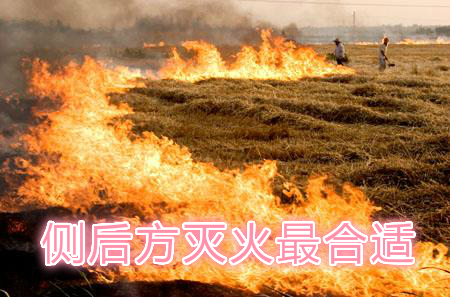 不要在風(fēng)頭上打火：風(fēng)正大，火正旺，最容易傷人；