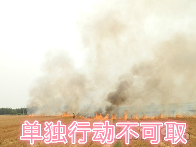 不要單獨(dú)一個人亂沖亂打：單獨(dú)行動被煙氣沖昏倒地，無人發(fā)覺被燒；