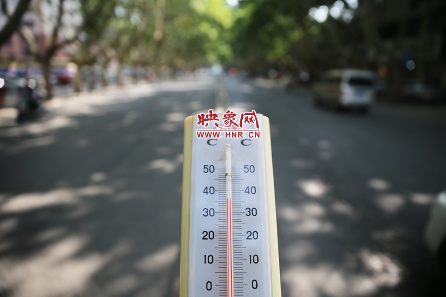 7月8日下午15時(shí)30分，人民路樹陰處溫度為36度，比人防納涼處高11度。