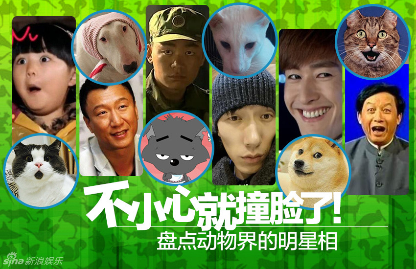不小心就撞臉了！盤點動物界的明星相