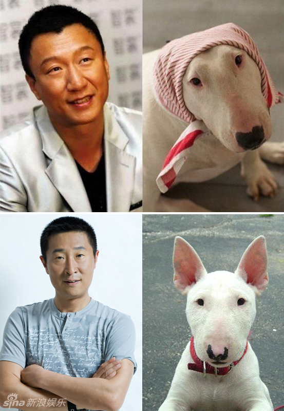不小心就撞臉了！盤點動物界的明星相