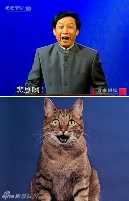 不小心就撞臉了！盤點動物界的明星相
