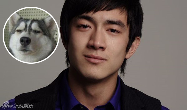 不小心就撞臉了！盤點動物界的明星相