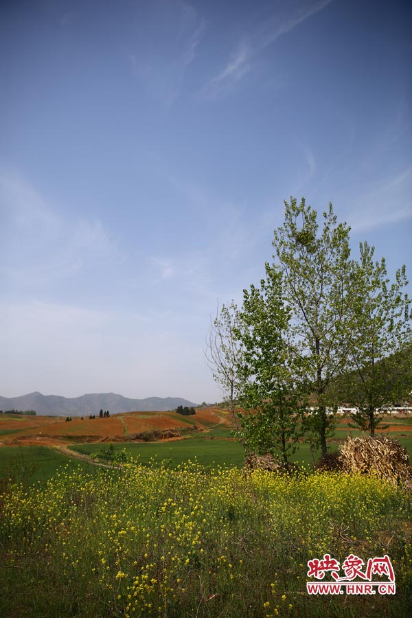 庫(kù)區(qū)的藍(lán)天、白云、綠樹(shù)、黃花給人清新的享受