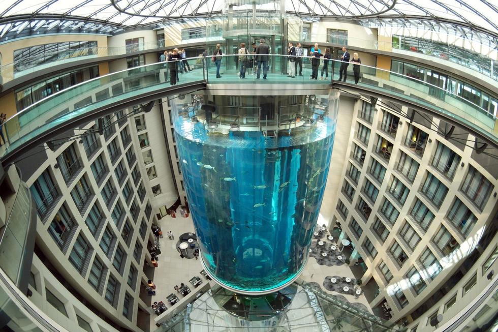 在圓柱水族館主體下方，還有一些別的展館。