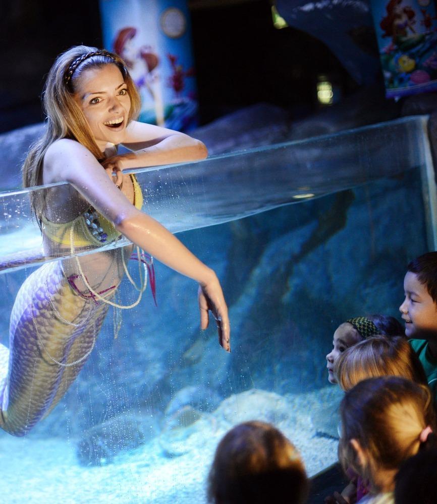 德國女演員安妮·門登在水族館里客串了一把“美人魚”，順便為她的電影《小美人魚》做宣傳。