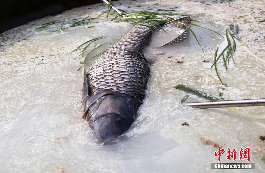 “魚王”在3米大鍋內烹飪。 圖片來源：CFP視覺中國