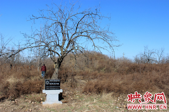 在叔齊墓的前面，豎著新鄭市人民政府今年剛立的石碑，上面寫著“新鄭市文物保護(hù)單位”。