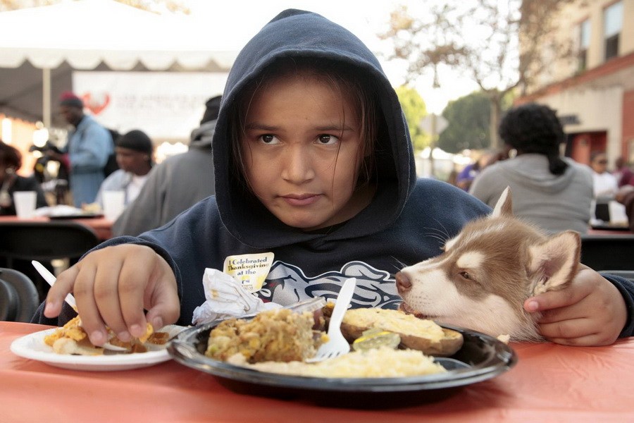 11月21日，加州洛杉磯的游民巷，12歲的堂娜·赫南德茲抱著愛犬“湯米”，安靜地吃著免費的感恩節(jié)飯菜