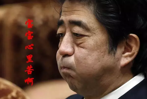 這種看安倍“熱鬧”的事兒，環(huán)環(huán)絕不私藏，一定雨露均沾!