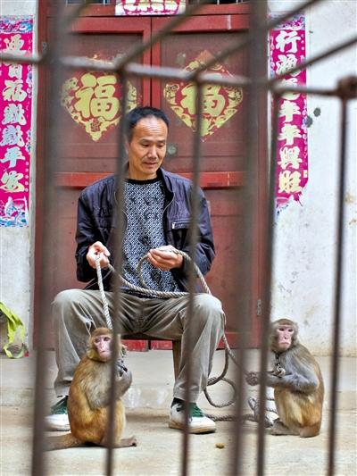 10月13日，耍猴人鮑慶山牽著從牡丹江帶回的兩只小猴在家門口玩耍。