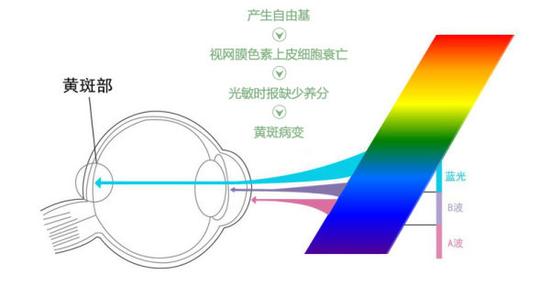 真能亮瞎眼？如何減少手機對眼睛的傷害