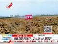新修馬路種黃豆  如此做法為哪般？