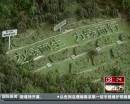 “垃圾場”拍婚紗：玩噱頭還是做環(huán)保？
