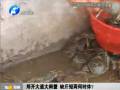 鄭開大道大閘蟹 缺斤短兩何時(shí)休？