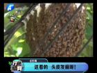 這看的 頭皮發(fā)麻呀！-打漁曬網(wǎng)