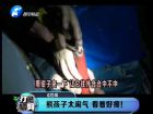 熊孩子太淘氣 看著好疼！-打漁曬網(wǎng)